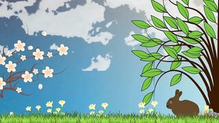 cute bunny