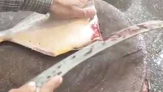 Fish cutting skills| fish cutting