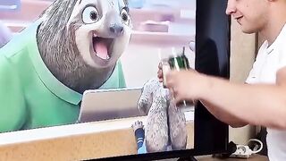 Funny Moment, Shorts Video