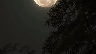 Beautiful Moon
