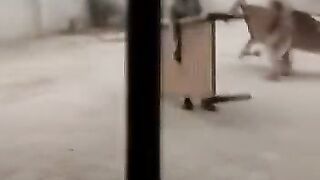 Full Comedy Video