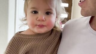 funny videos