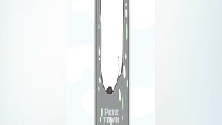 Didn't I Do It For You Viral Borzoi Memes On Tiktok Pets Town