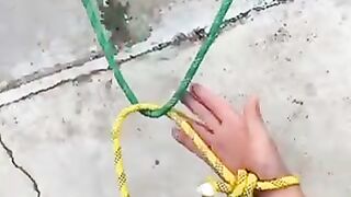 Magic trick