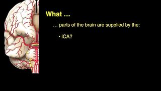 Blood supply of brain ????