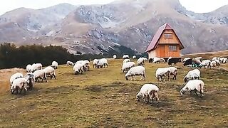 Beautiful place