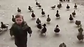 funny kid and ducks |funny video | subscribe