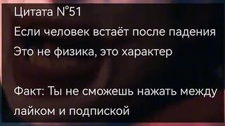 цитата