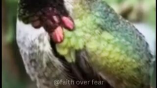 Islamic status, whatsapp status