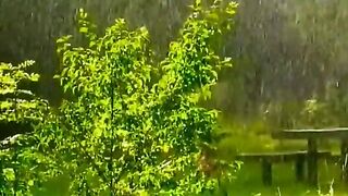 A beautiful view Of rain