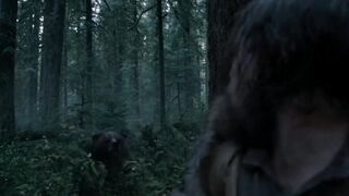 Deadly fight human vs Bear