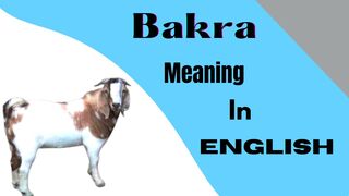 Bakre ko english me kaya bolte hai #easylearning#bakrameaninginenglish
