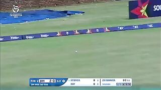 Cricket