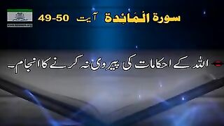 Tafser e Quran by Dr israr Ahmad