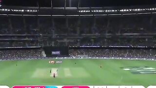 Cricket