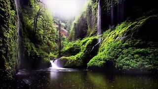 A beautiful view