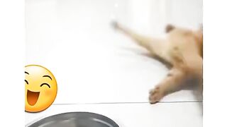 New Fantestic video Latest Fun 2023
