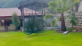 Beautiful place