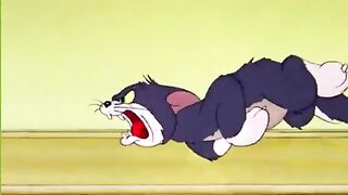 Tom Jerry and Dog Fantestic Cartoon new 2023