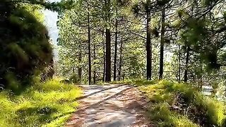 Beauty of nature