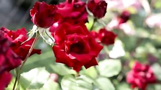 ???? Sad Music for broken hearts???? . Alone in night & Missing someone badly#relax study\ relax\ sleep