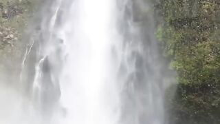 Nature or green valley