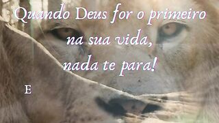 Motivaçaodiaria