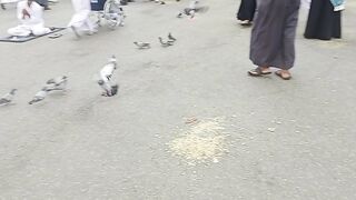 Hotel in Makkah Al Mukaram
