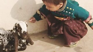 Daughter playing with goat☺️
