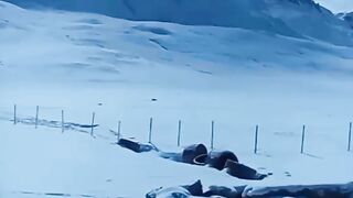 Khanjrab top