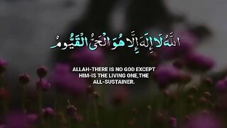 Quran Translation