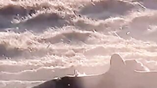 Shocking scenes of golden eagles hunting foxes
