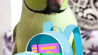 "Talking parrot "|Bachpan hi acha tha|