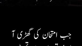 Imam Hussain A.S Qoutes
