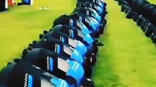 Cricket team status video
