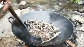 Snakes frying