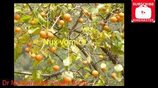 Nux Vomica Homeopathic medicine|Stomic Diseases treatment