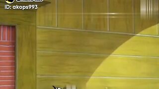 New Comedy video Tom Jerry and Dog latest funny 2023