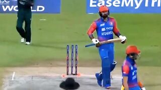 Every stumps wickets of Naseem Shah