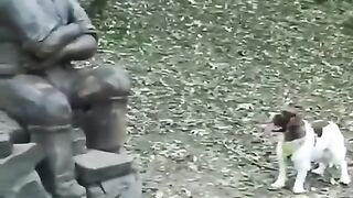 Dog no karsani