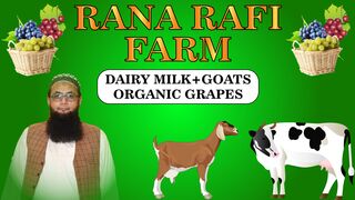 Introduction of Rana Rafi Farm part 1
