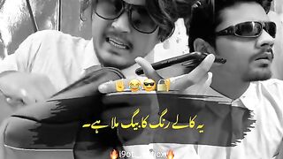 Very Funny Video 2023
