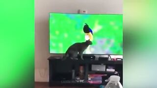 Funniest_Animals_2023_-_Funny_Cats_and_Dog