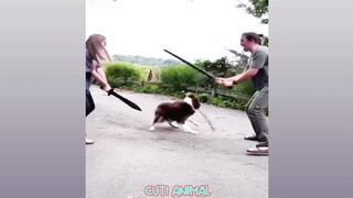 Funny video
