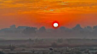 Village Life Dasi Mahol...