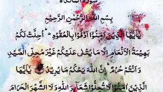 تلاوت قرآن سورۃ المائدہ