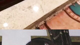 Funny animal video. Reaction short video.