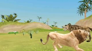 Lion attack fox