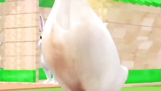 Duck funny video for kids