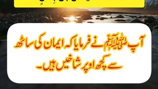 Eman ki sath se uper shakhen hen | #shorts